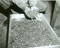1940_25.jpg